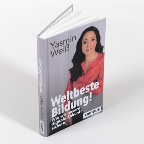 InsideView 1