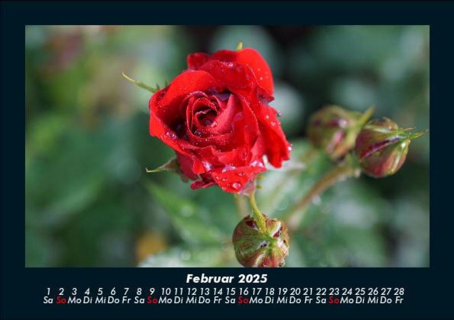 InsideView 6