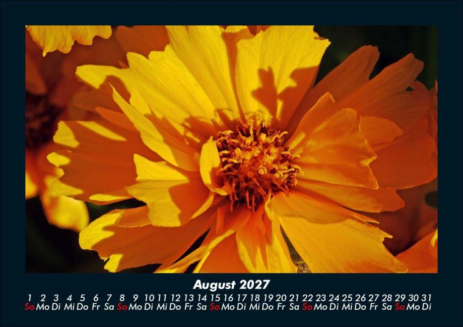 InsideView 12