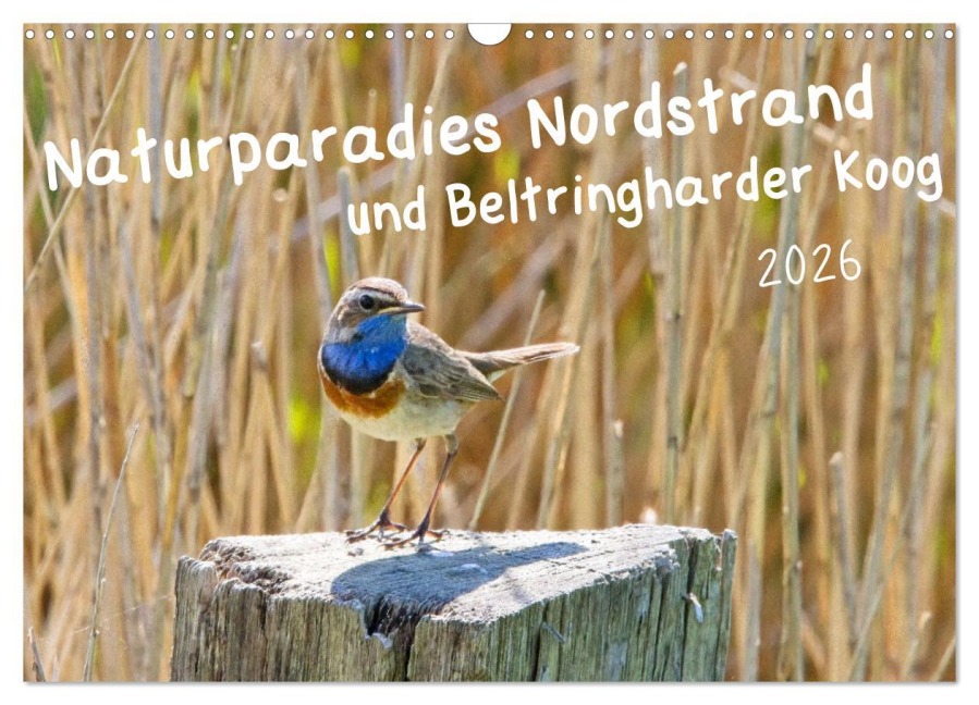Naturparadies Nordstrand und Beltringharder Koog (Wandkalender 2026 DIN A3 quer), CALVENDO Monatskalender - Kathrin Voss