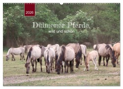 Cover-Bild zum Titel 'Dülmener Pferde, wild und schön (Wandkalender 2026 DIN A2 quer), CALVENDO Monatskalender' von 'Angelika Keller'