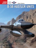 Cover-Bild zum Titel 'B-58 Hustler Units' von 'Peter E. Davies'