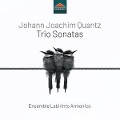 Cover-Bild zum Titel 'Trio Sonatas' von 'Ensemble Labirinto Armonico'