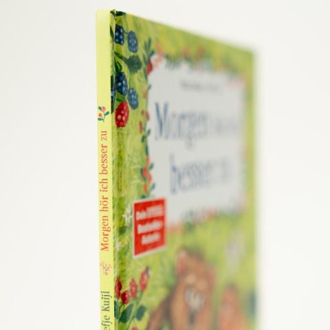 InsideView 2