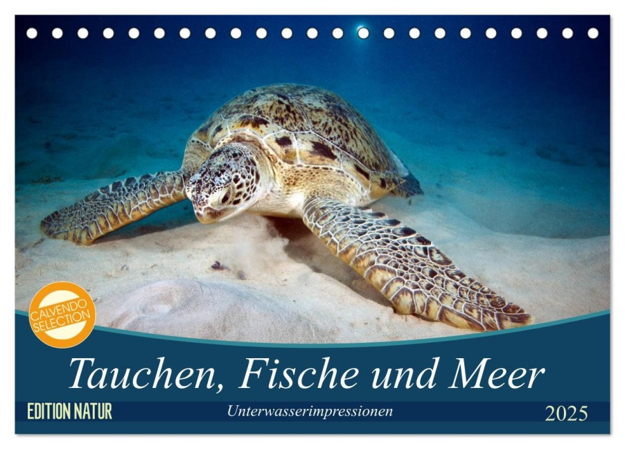Tauchen, Fische und Meer (Tischkalender 2025 DIN A5 quer), CALVENDO Monatskalender - Sven Gruse