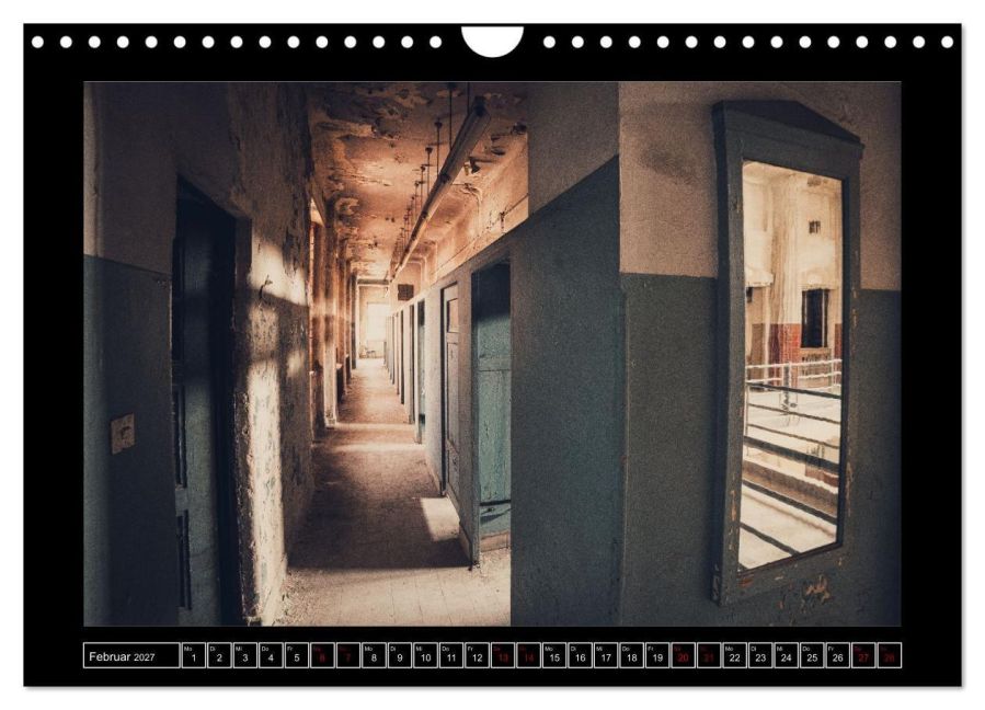 InsideView 7