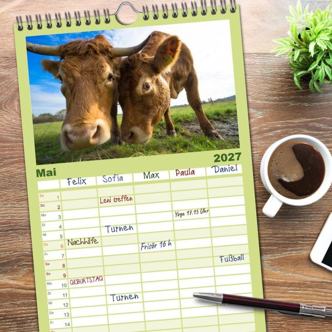InsideView 9