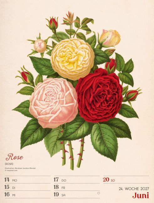 InsideView 28