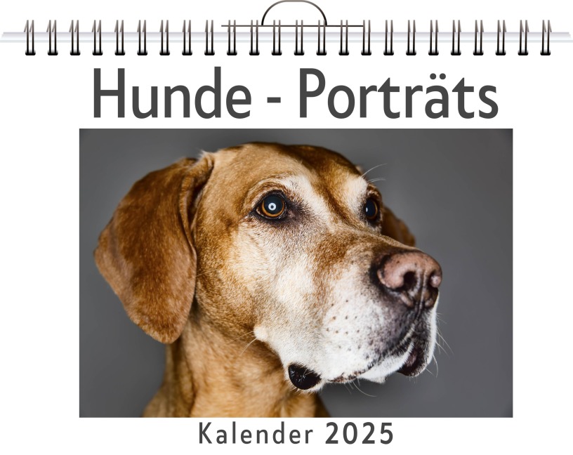 Hunde - Porträts - (Wandkalender 2025, Kalender DIN A4 quer, Monatskalender im Querformat mit Kalendarium, das perfekte Geschenk) - Julia Krause