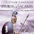 Cover-Bild zum Titel 'Der lange Krieg: Sturm vor Salamis' von 'Christian Cameron'