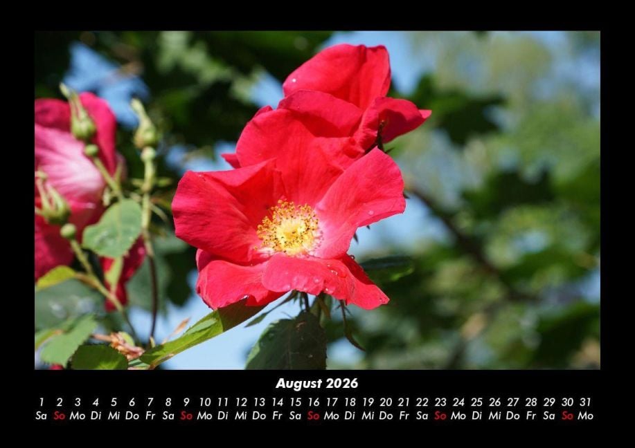 InsideView 12
