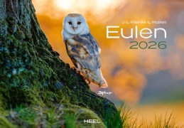 Eulen Kalender 2026 - J. -L. Klein, M. -L. Hubert