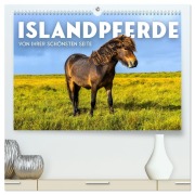 Islandpferde - Von ihrer schönsten Seite (hochwertiger Premium Wandkalender 2026 DIN A2 quer), Kunstdruck in Hochglanz - Sf Sf