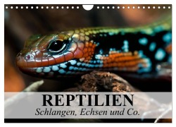 Cover-Bild zum Titel 'Reptilien Schlangen, Echsen und Co. (Wandkalender 2026 DIN A4 quer), CALVENDO Monatskalender' von 'Elisabeth Stanzer'