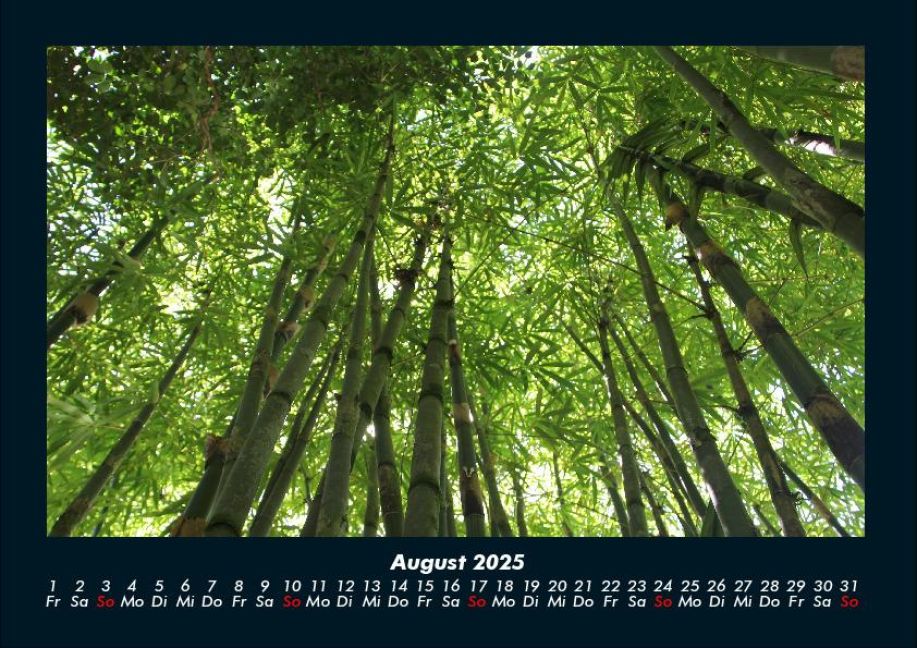 InsideView 12