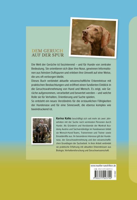 InsideView 8