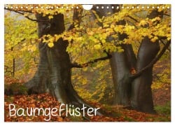 Cover-Bild zum Titel 'Baumgeflüster (Wandkalender 2026 DIN A4 quer), CALVENDO Monatskalender' von 'Uwe Wittbrock'