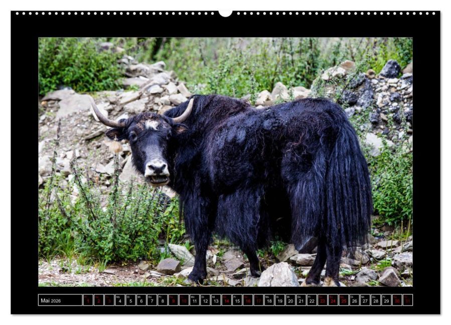 InsideView 9