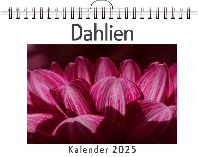 Dahlien - Liam Müller