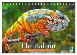 Cover-Bild zum Titel 'Chamäleon: Die farbenfrohe Welt der Reptilien (Tischkalender 2026 DIN A5 quer), CALVENDO Monatskalender' von 'Calvendo Calvendo'