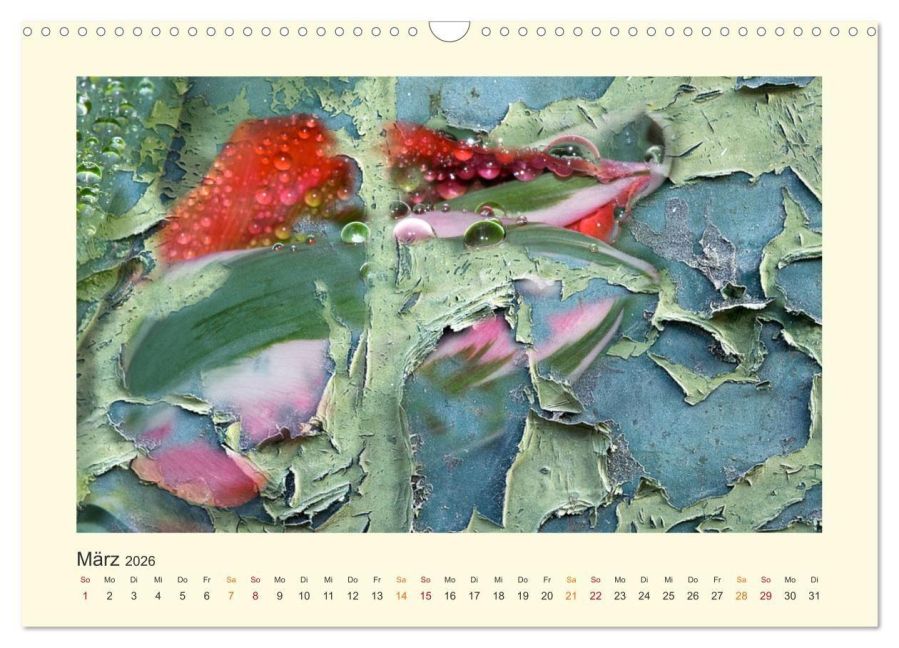 InsideView 8