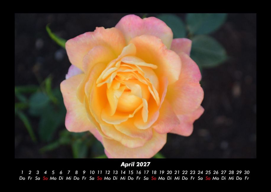 InsideView 8