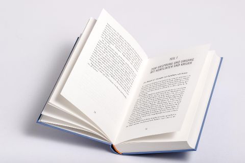 InsideView 2