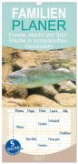 Cover-Bild zum Titel 'Familienplaner 2027 - Forelle, Hecht und Stör: Fische in europäischen Gewässern mit 5 Spalten (Wandkalender, 21 x 45 cm) CALVENDO' von 'Calvendo'
