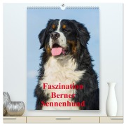 Faszination Berner Sennenhund (hochwertiger Premium Wandkalender 2026 DIN A2 hoch), Kunstdruck in Hochglanz - Sigrid Starick