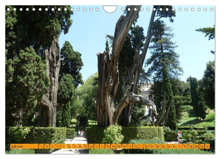 InsideView 12