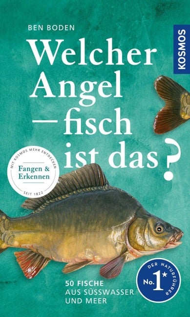Welcher Angelfisch ist das? - Ben Boden