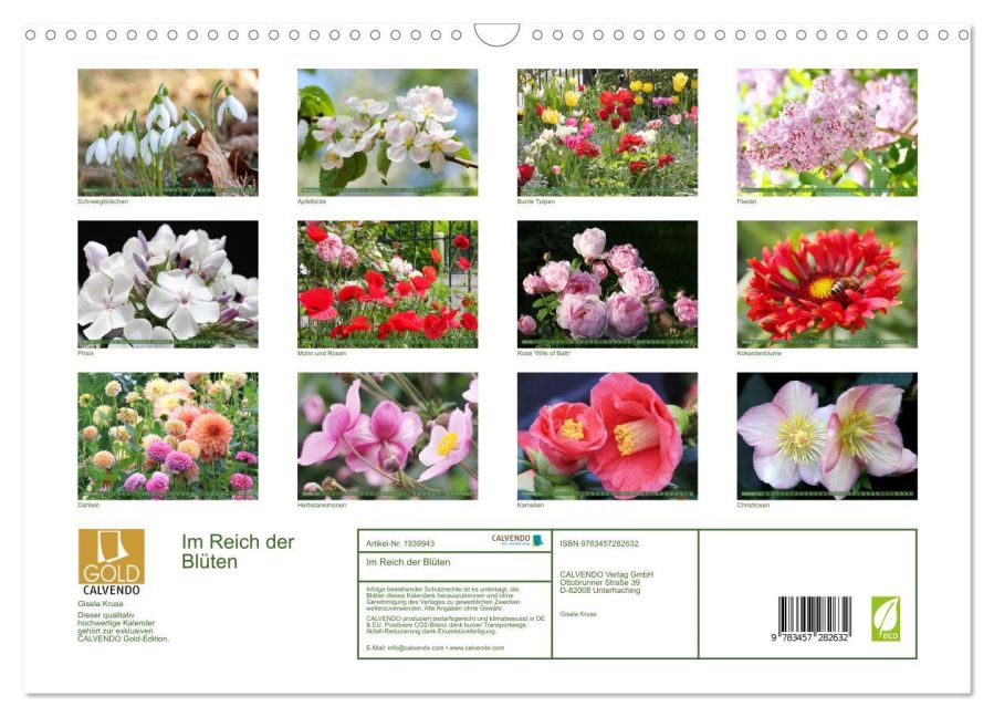 InsideView 5