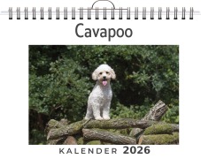 Cover-Bild zum Titel 'Cavapoo' von 'Matteo Schröder'