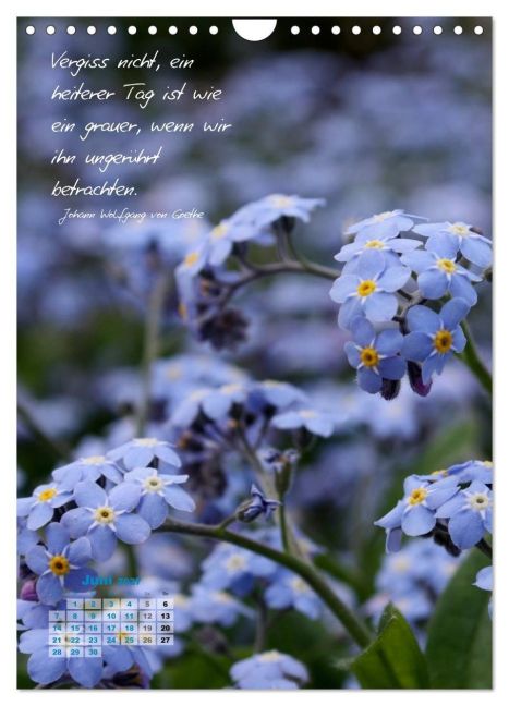 InsideView 11