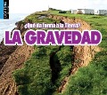 Cover-Bild zum Titel 'La Gravedad' von 'Piper Whelan'