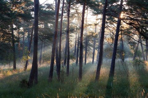 InsideView 11