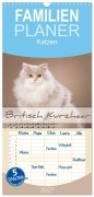 Cover-Bild zum Titel 'Familienplaner 2027 - Die Britisch Kurzhaar Katze mit 5 Spalten (Wandkalender, 21 x 45 cm) CALVENDO' von 'Trio Bildarchiv'
