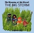 The Big Storm (The Weenies of the Wood Adventures) - E M Wilkie