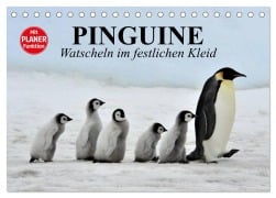 Cover-Bild zum Titel 'Pinguine - Watscheln im festlichen Kleid (Tischkalender 2026 DIN A5 quer), CALVENDO Monatskalender' von 'Elisabeth Stanzer'