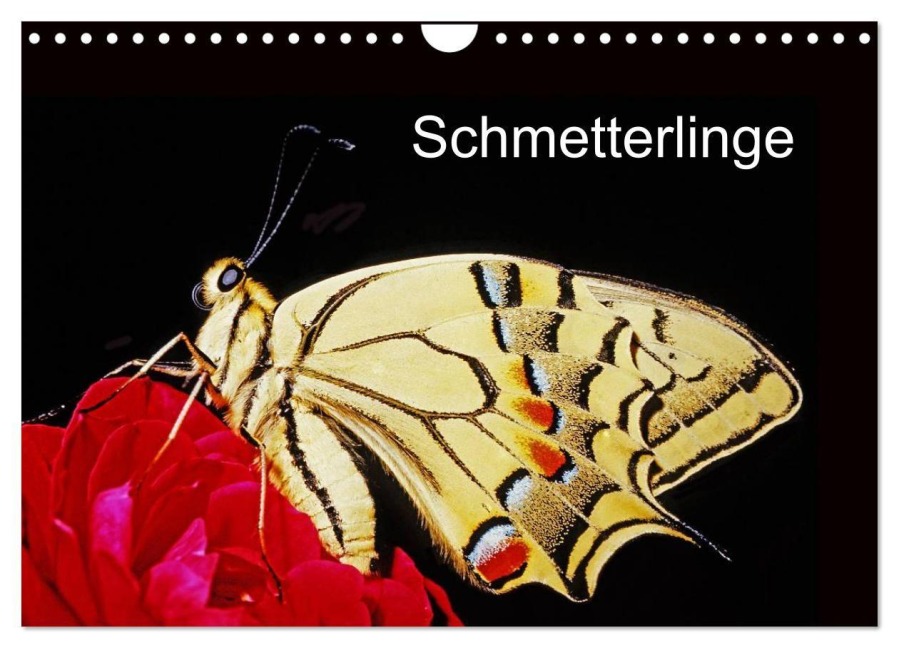 Schmetterlinge (Wandkalender 2027 DIN A4 quer), CALVENDO Monatskalender - McPHOTO Bachmeier Huwiler Krause Kreuter Schreiter Steinkamp