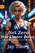 Cover-Bild zum Titel 'Net Zero Star Chaser Down' von 'Jay Toney'