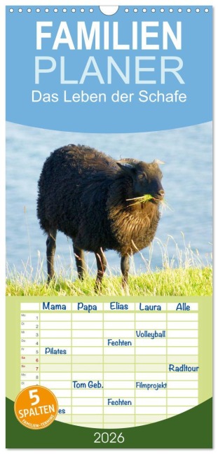 Familienplaner 2026 - Das Leben der Schafe mit 5 Spalten (Wandkalender, 21 x 45 cm) CALVENDO - Kattobello Kattobello