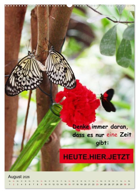 InsideView 12