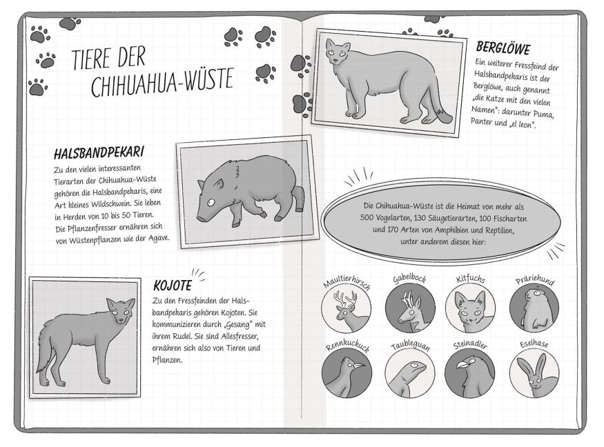 InsideView 7