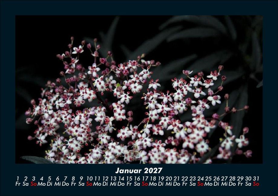 InsideView 5