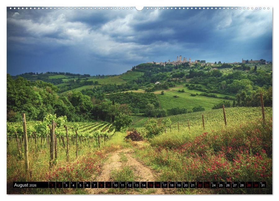 InsideView 12