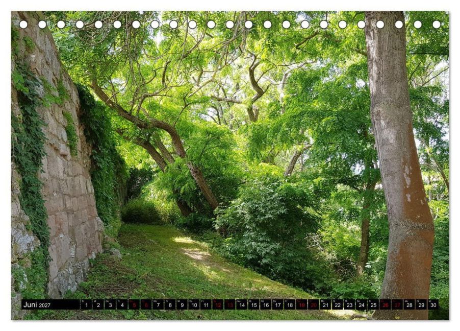 InsideView 11