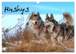 Cover-Bild zum Titel 'Huskys (Wandkalender 2026 DIN A3 quer), CALVENDO Monatskalender' von 'Jens Kalanke'