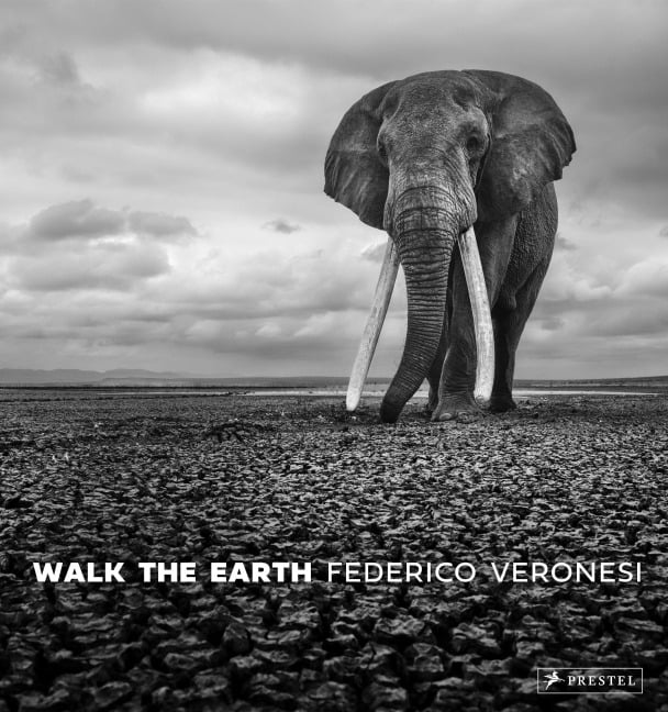 Walk the Earth - Federico Veronesi