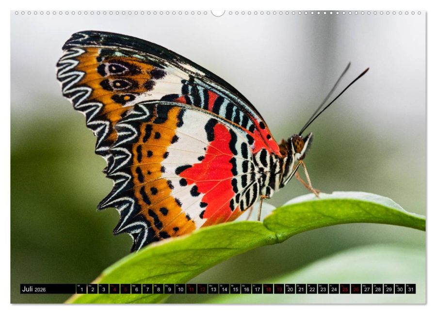 InsideView 11